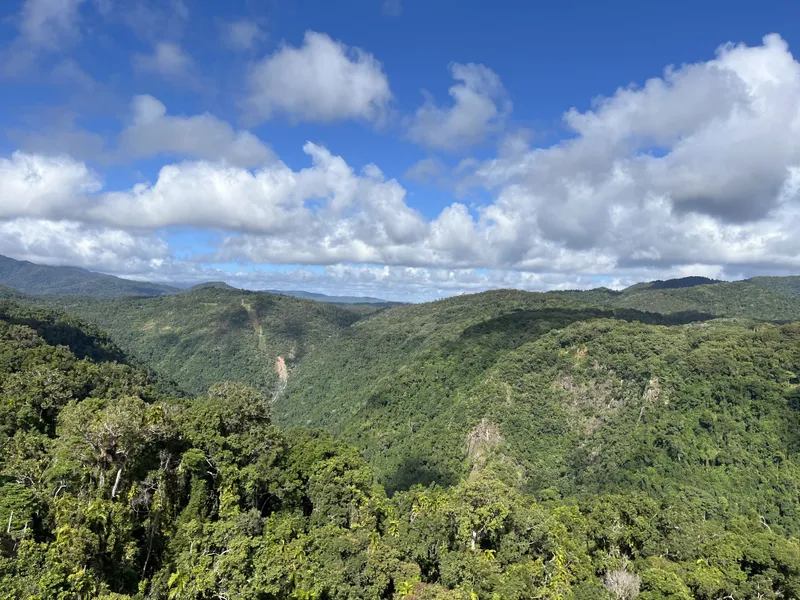 Forested ranges rolling away under the clouds