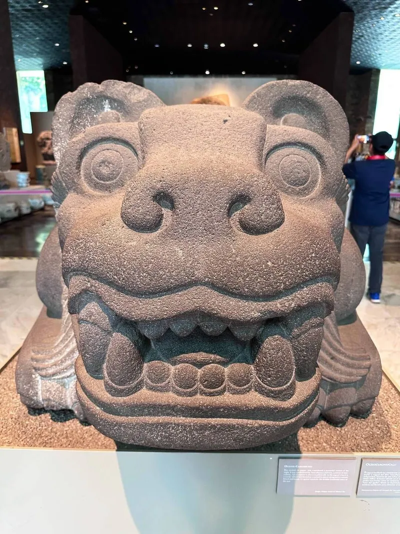 Museum of anthropology, photo 6 of 10