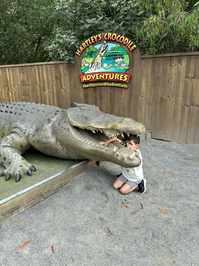 A boy crouching in the jaws of the giant crocodile statue at the Hartley's sign