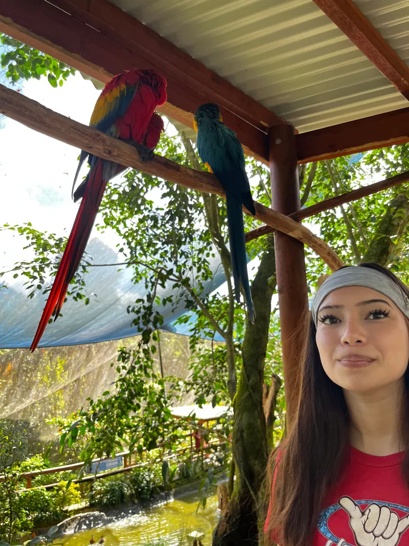 A girl in a headband under two macaws on a branch