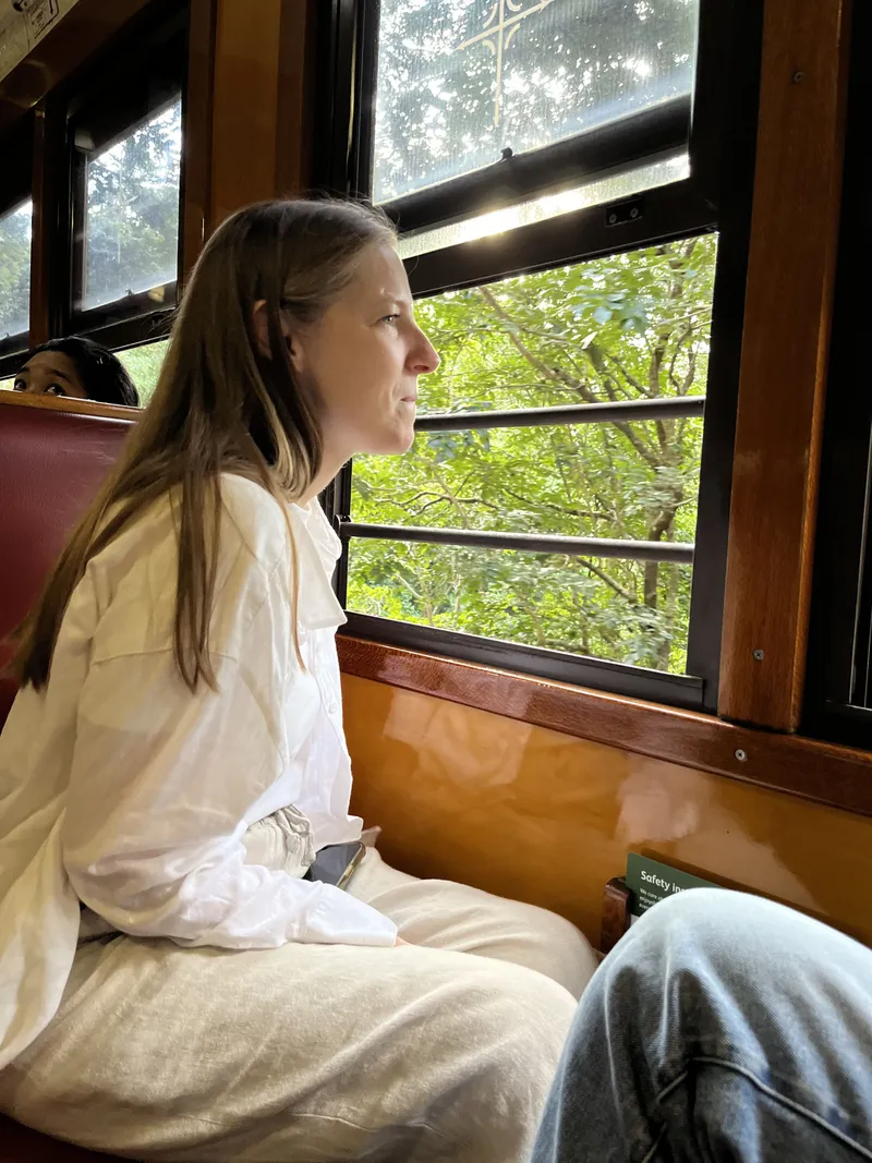A woman gazing out of the window