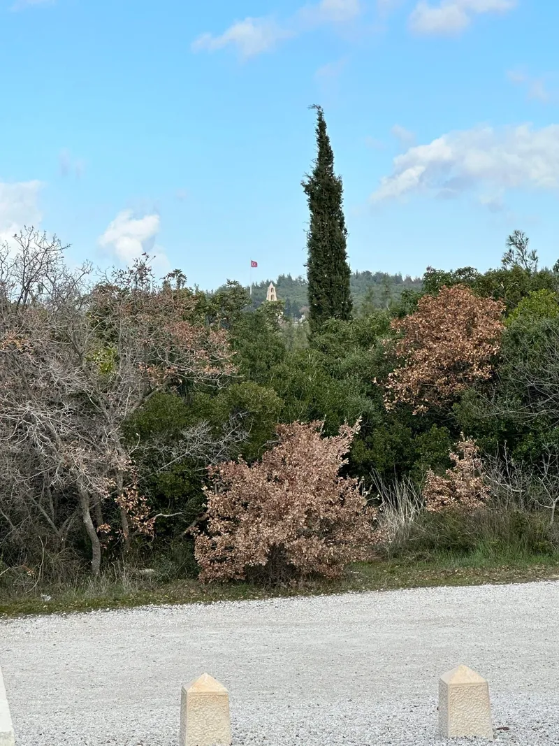 Anzac Cove, photo 9 of 18
