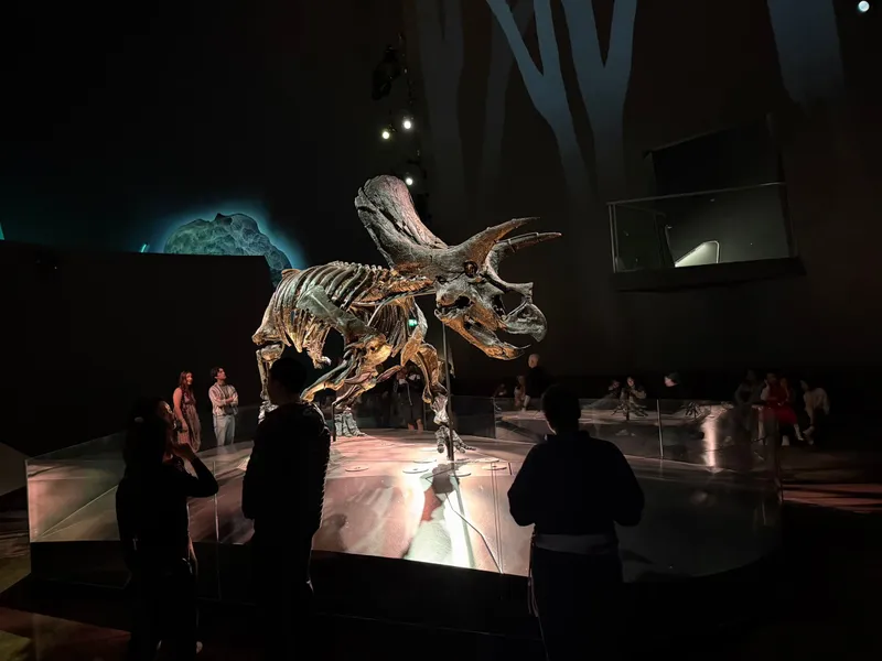 People gathered around the Triceratops skeleton