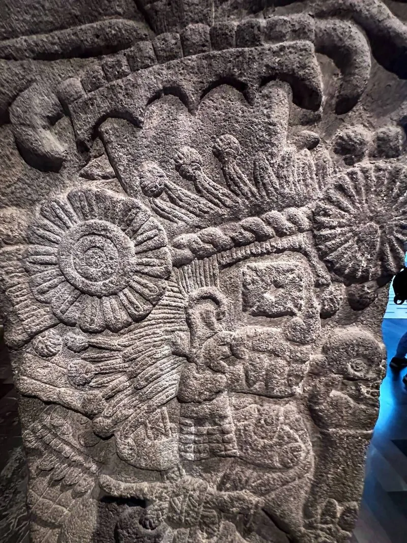 Museum of anthropology, photo 7 of 10