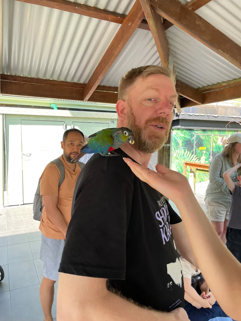 A parrot perched on the man's shoulder as he looks round
