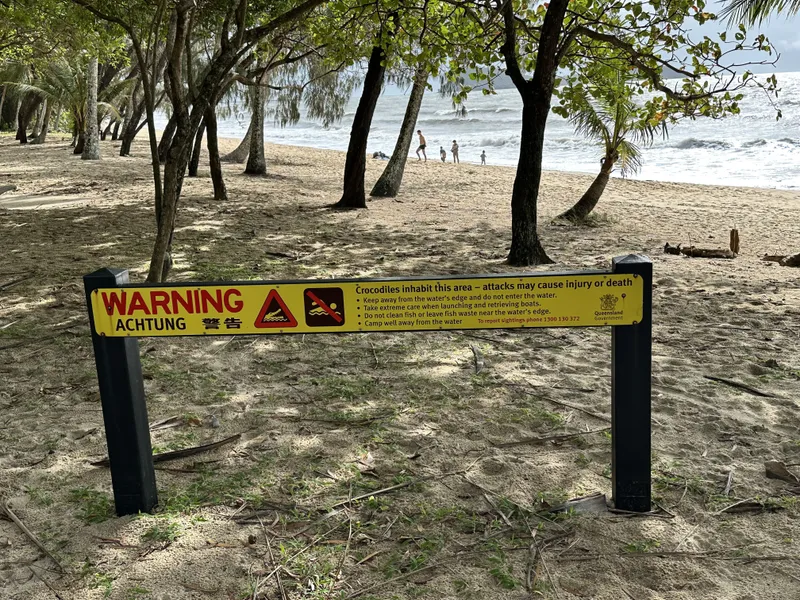 A crocodile warning sign on the sand under the beach trees