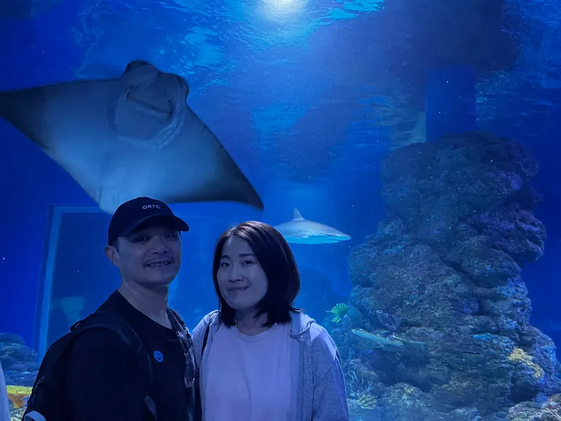 Two people in front of the big tank as a ray glides overhead