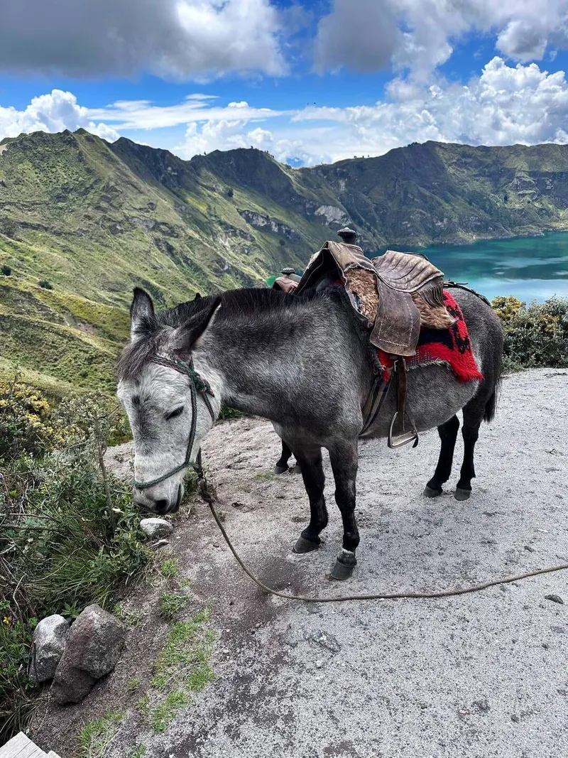 Quilotoa volcano climb, photo 4 of 9