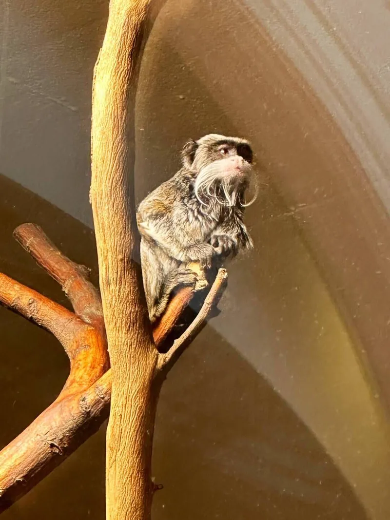 A day at the Vienna Zoo, photo 4 of 7