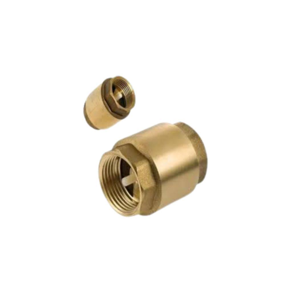 Valvula Check vertical 1