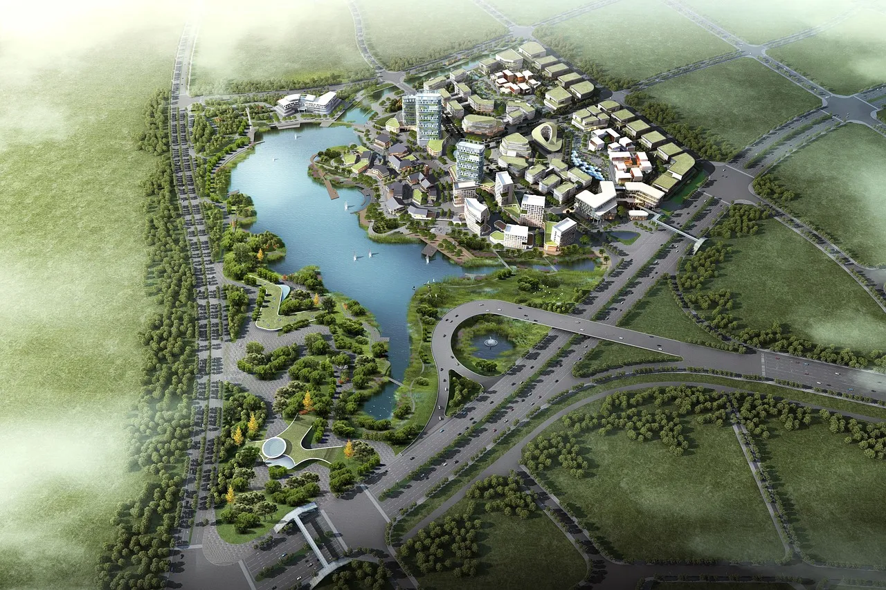 section image
