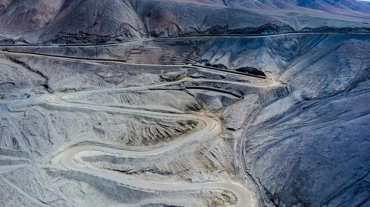section image