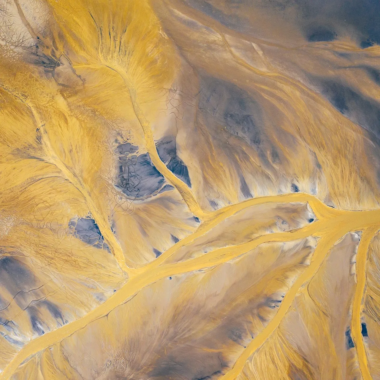 section image