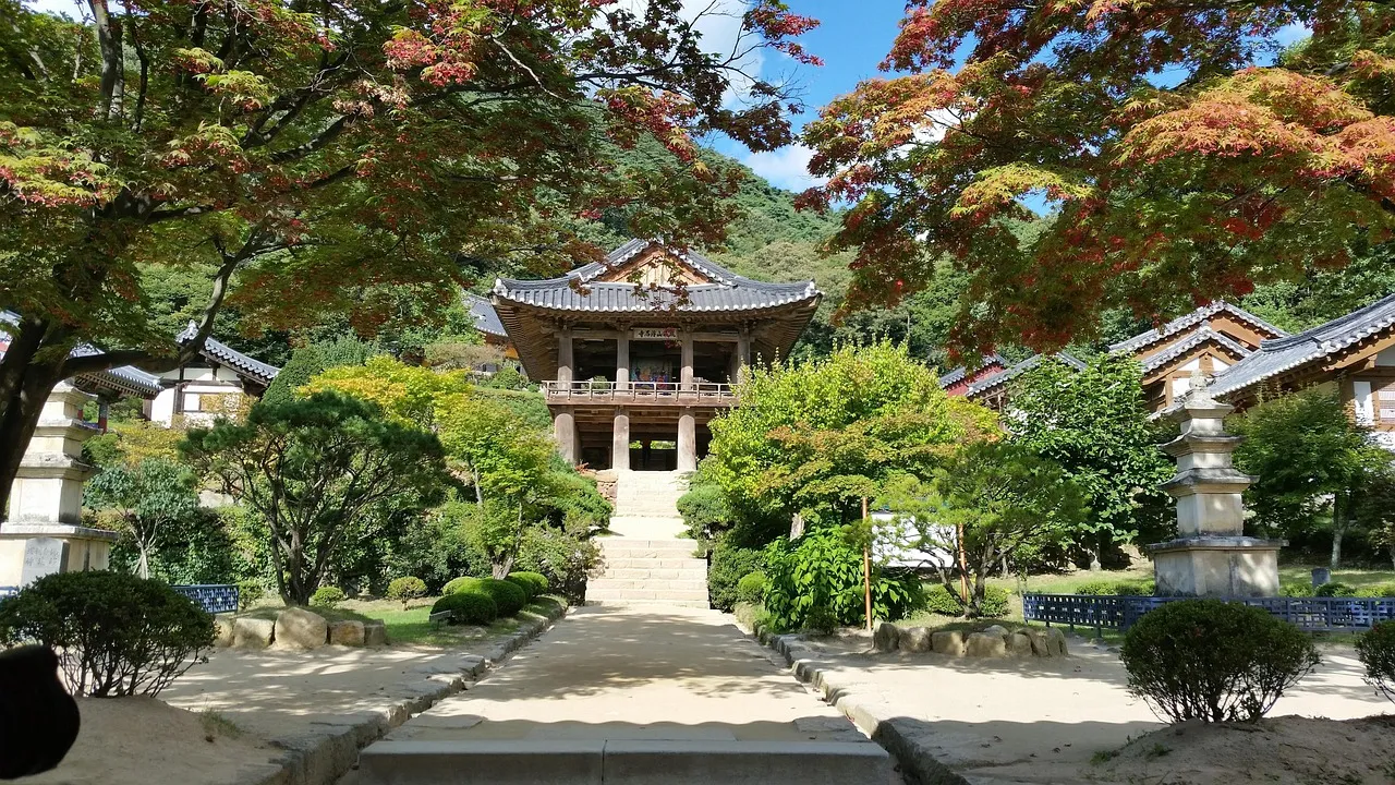 section image