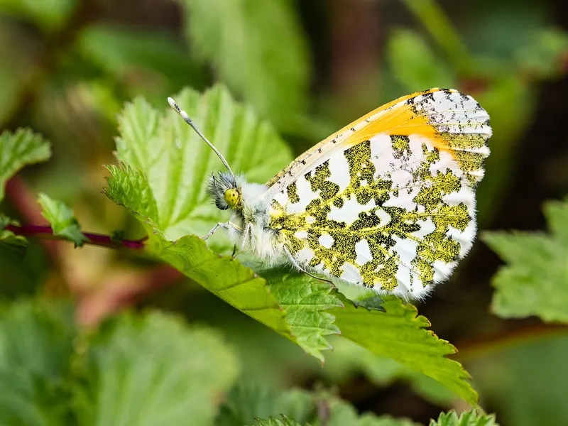 팁 관련 질문과 답변을 정리한 이미지