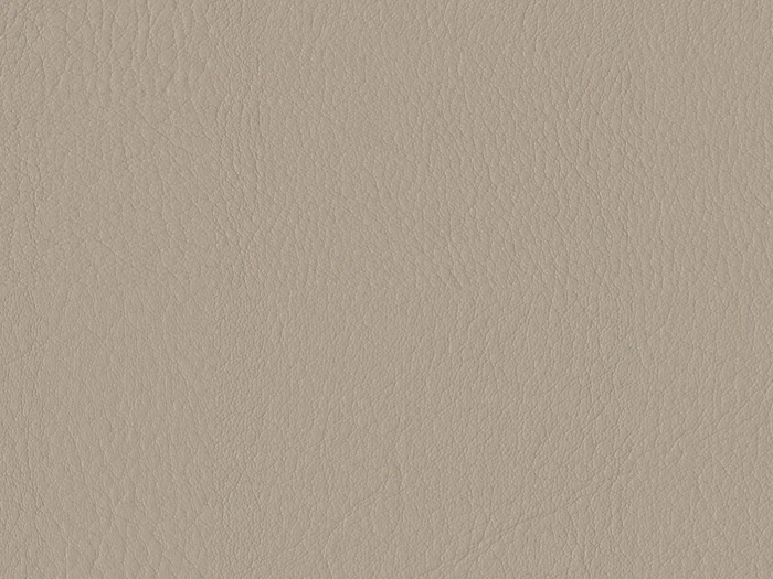 DCO17486-M1 Birch