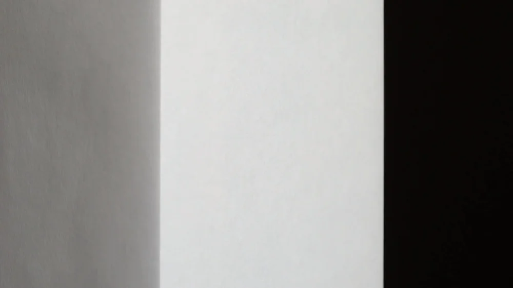 WEN2400 WHITE