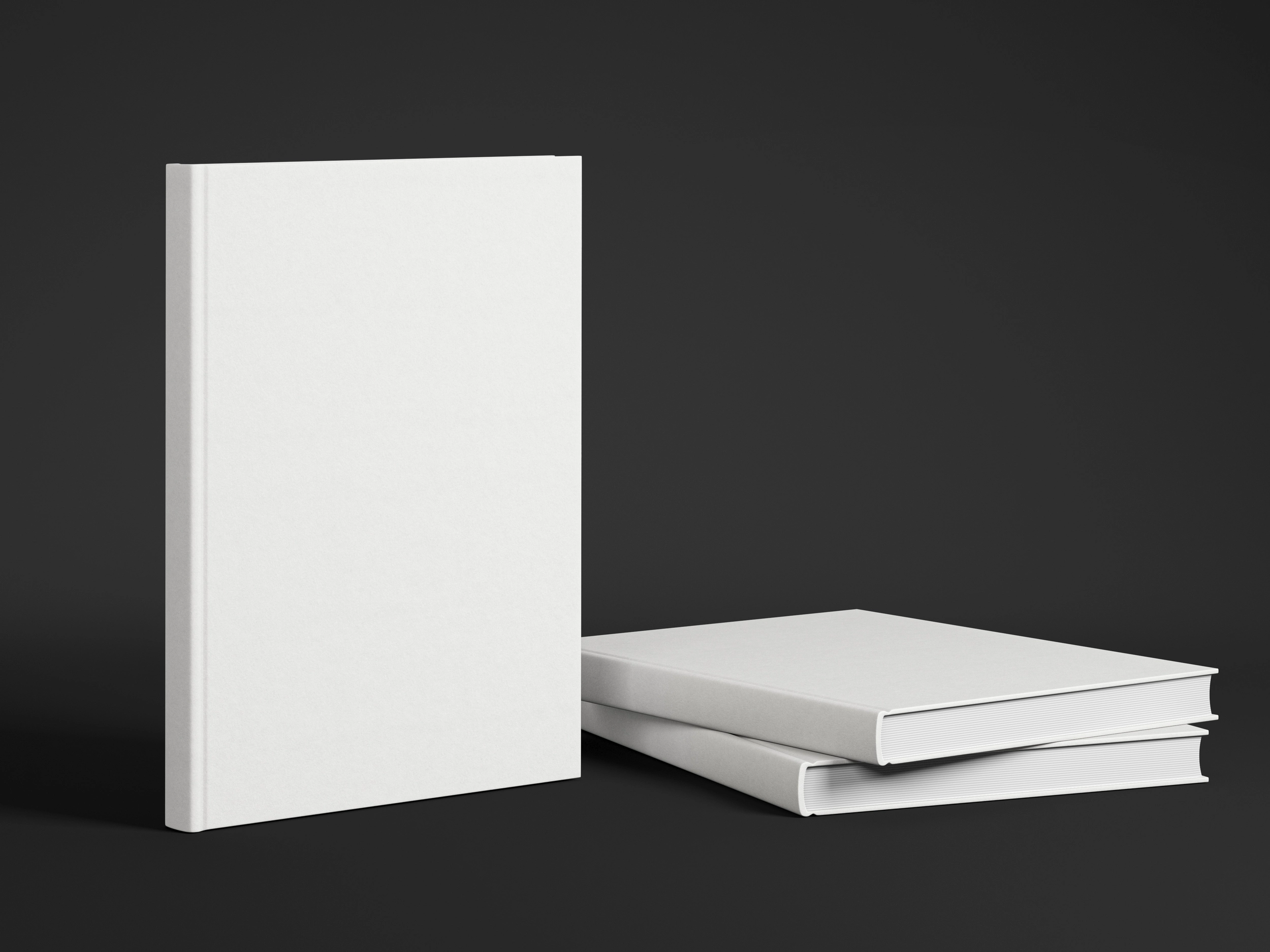 WEN2400 WHITE