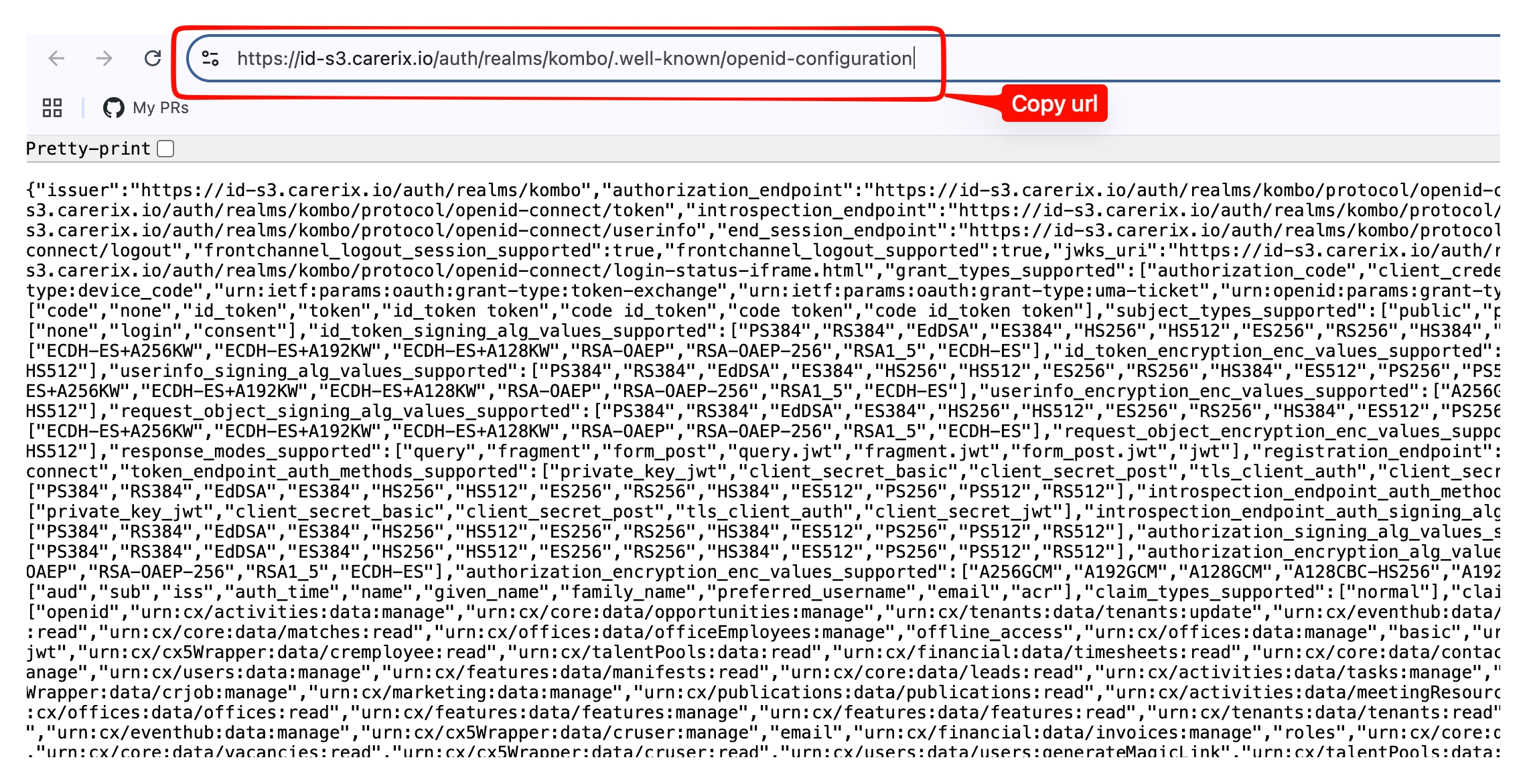 Browser tab showing the openid-configuration URL