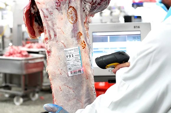 5572-Brueninghoff-1-Scanning-vor-Zerlegung