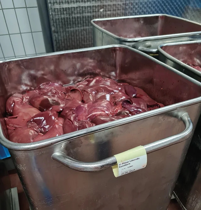 Cornelius-Leber_kl-2