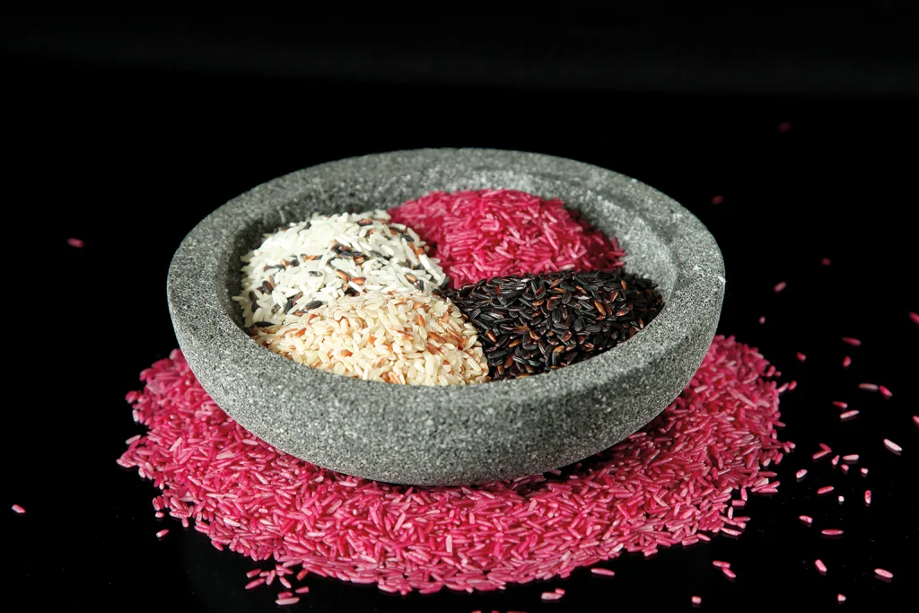 LotaoReis1024x15xx-1024x683-1