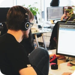 softwareentwicklung-winweb-250x0-c-default