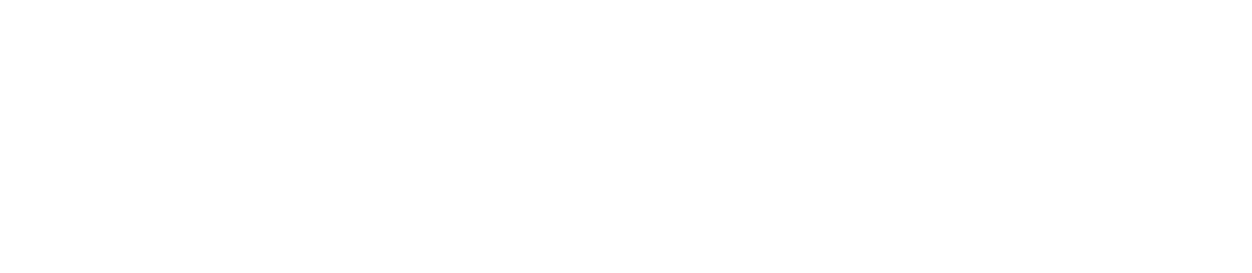 Stone Insurance Agency