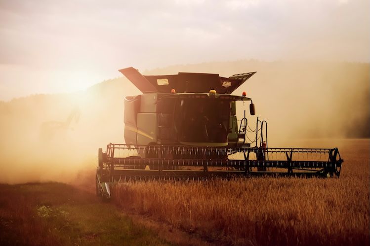 Combine harvester working in a field
