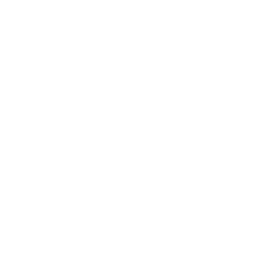 Stone Insurance Agency circular logo