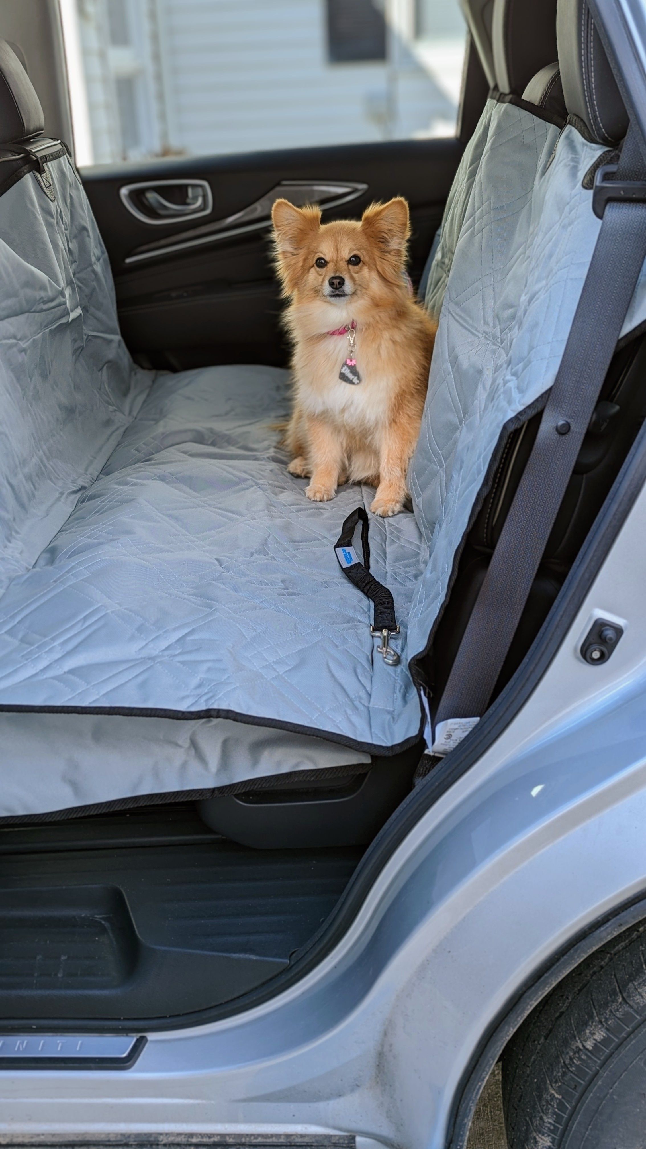 Banana And Monkey Pattern Print Pet Car Back Seat Cover – GearFrost