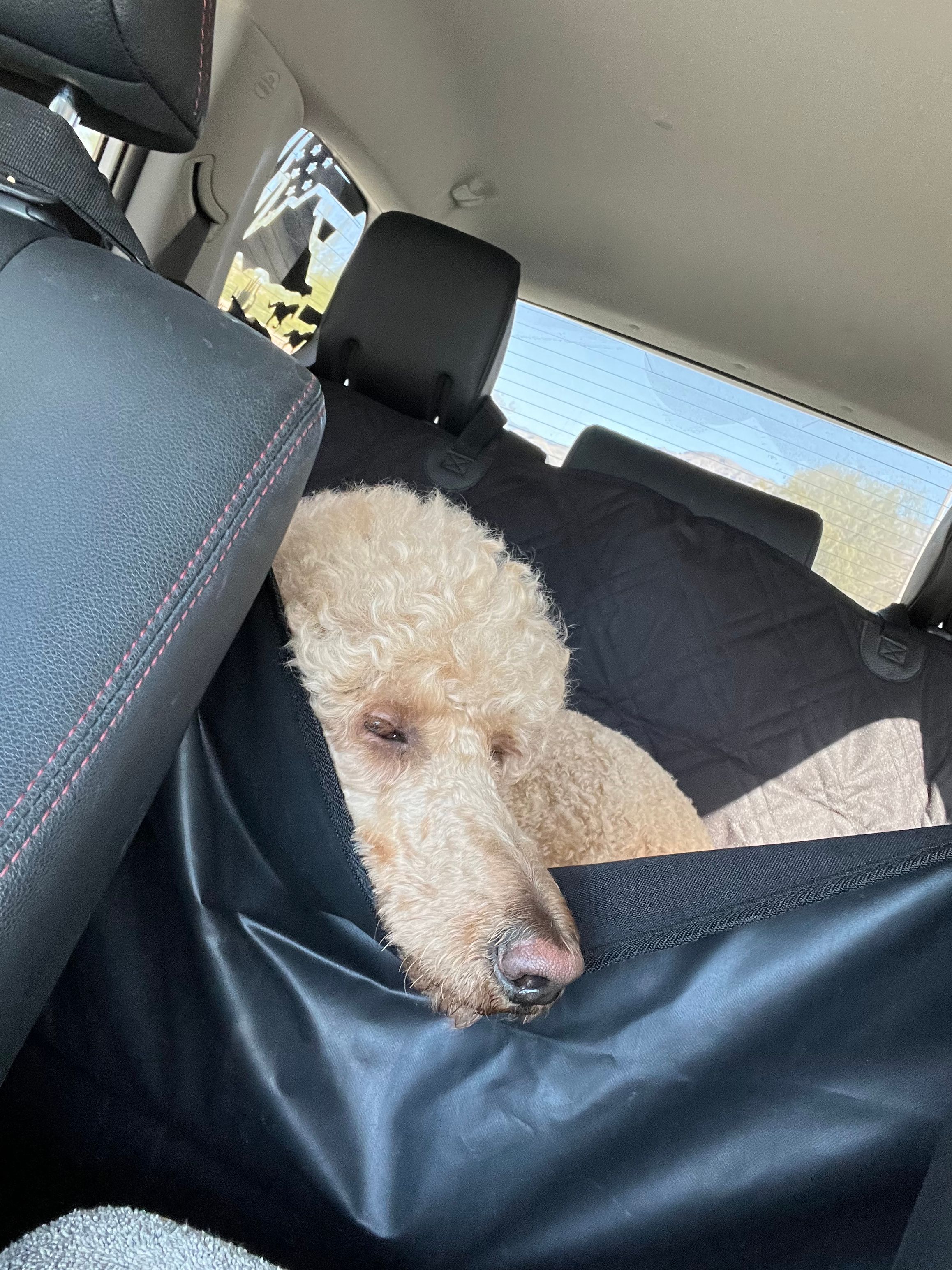 Dog Car Seat Cover – DogFanaticsPiece