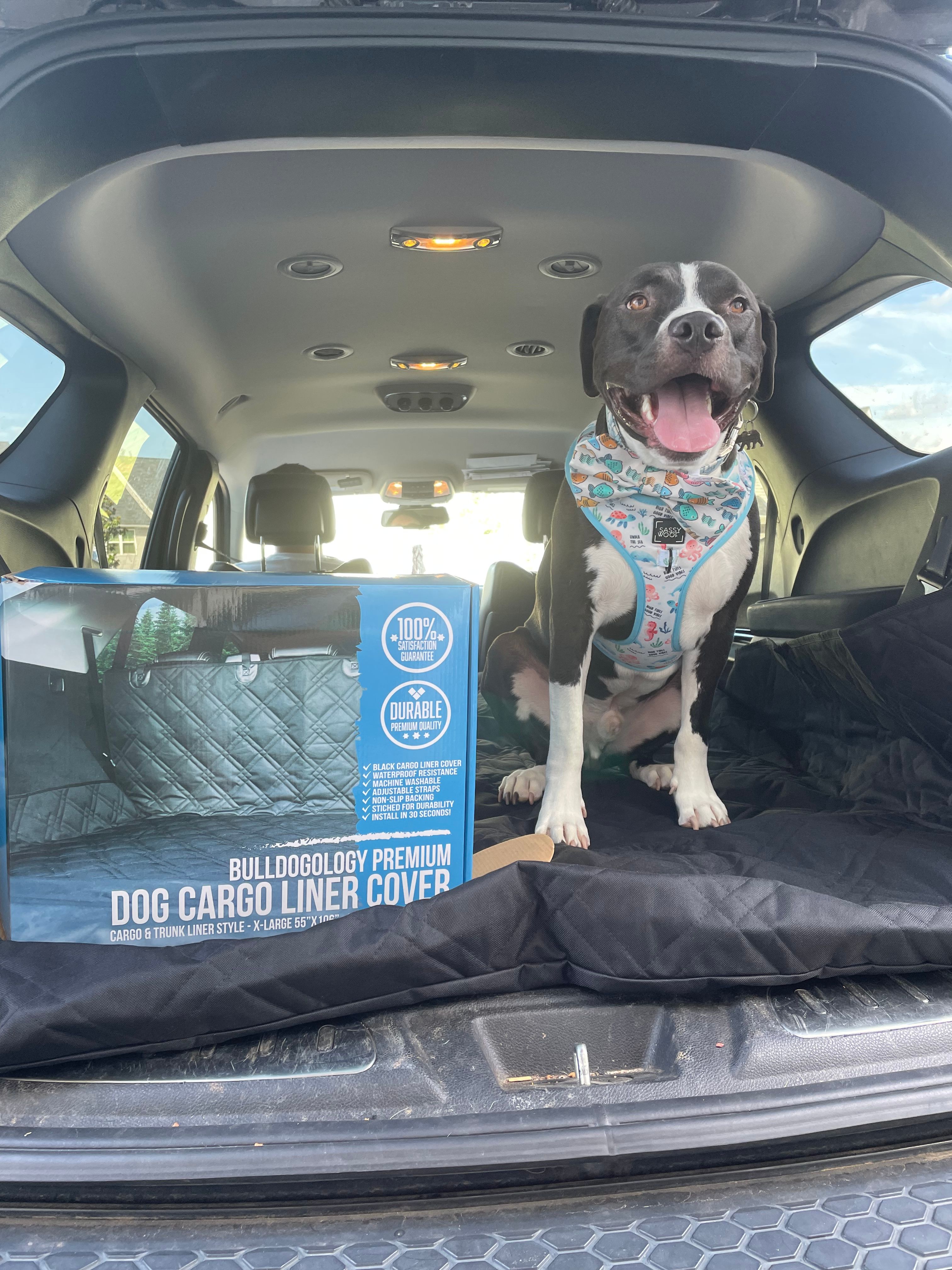 Cargo Liner Cover for Dogs | Dog Seat Cover | Bulldogology