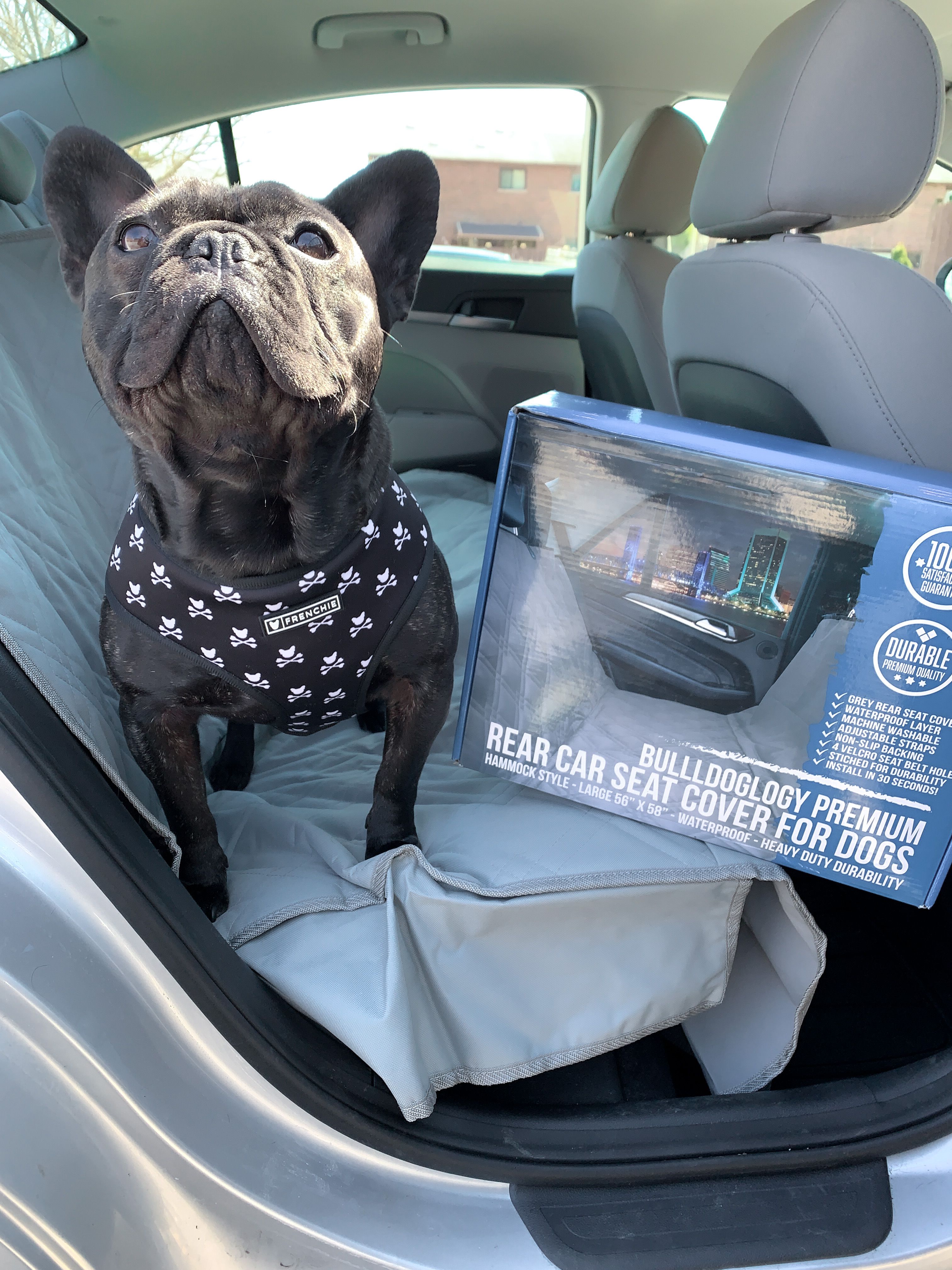 Dog Car Seat Cover “Travel Buddy” Owleys - Owleys