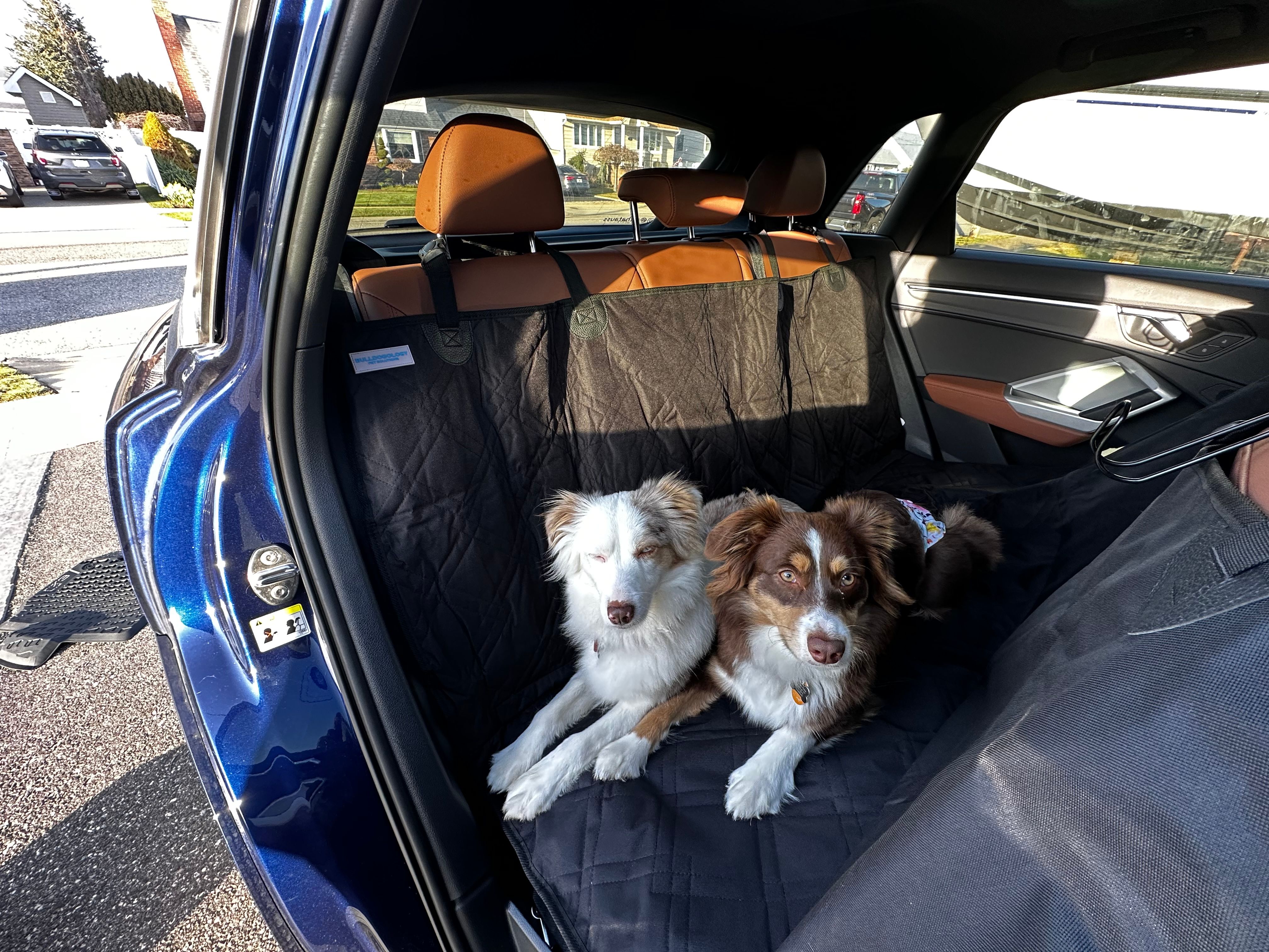 Dog Car Seat Cover “Travel Buddy” Owleys - Owleys