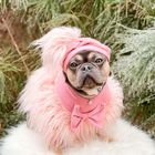 Diva Fur Dog Sweater in Pink — Maxine Avenue NYC