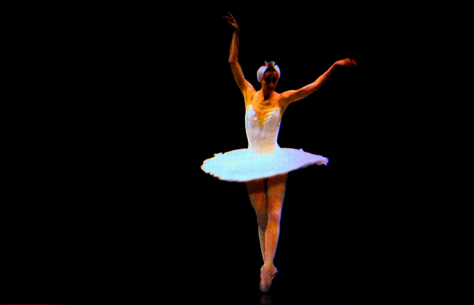 BLACK SWAN 81
