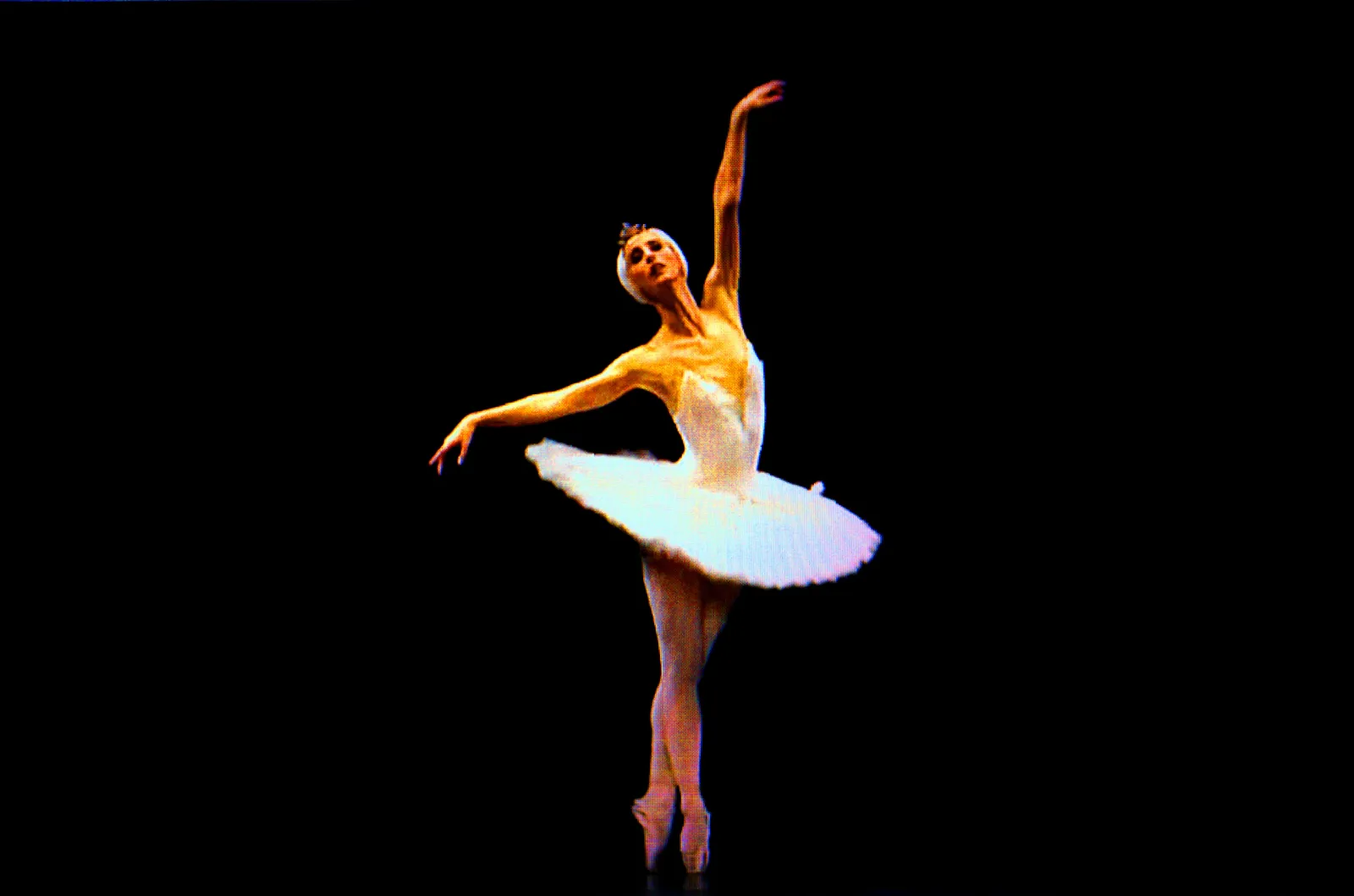 BLACK SWAN 82