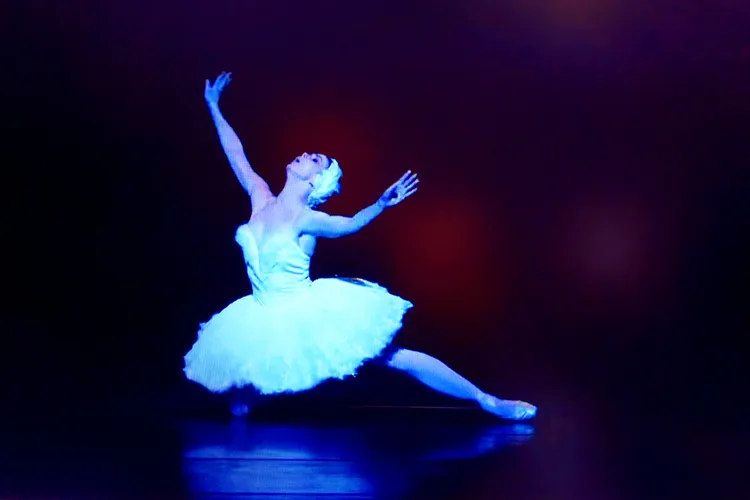 BLACK SWAN 27