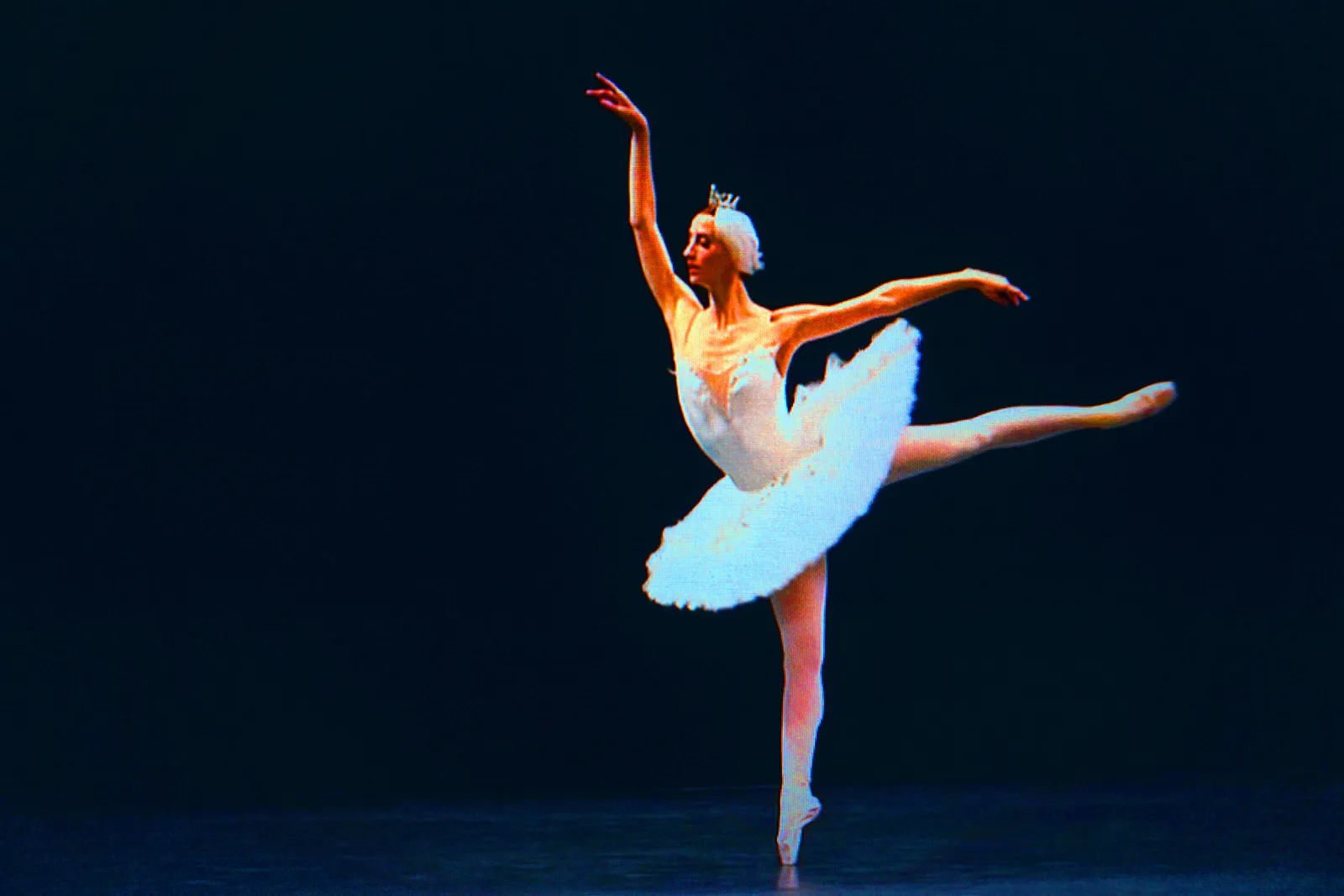 BLACK SWAN 79