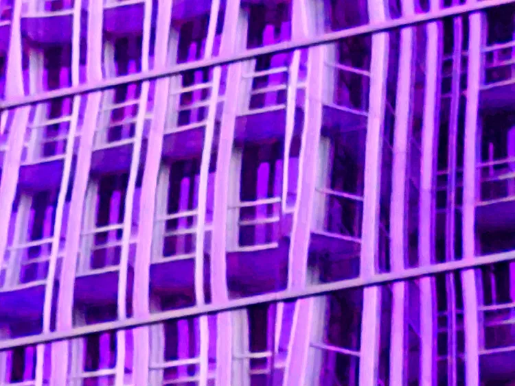 IN THE CITY 29