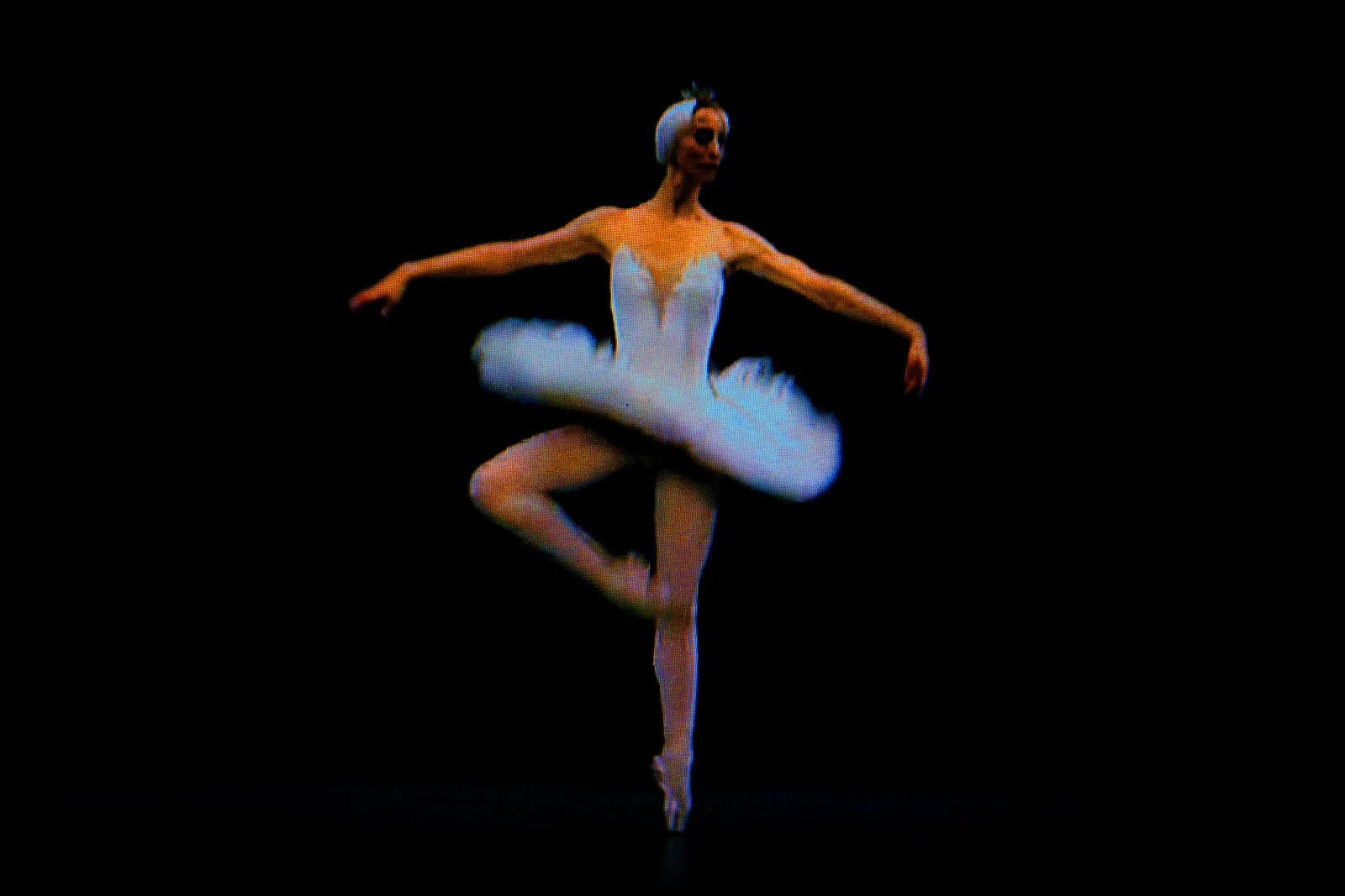 BLACK SWAN 83