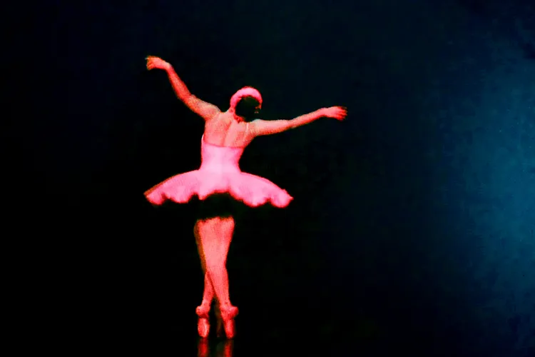 BLACK SWAN 69