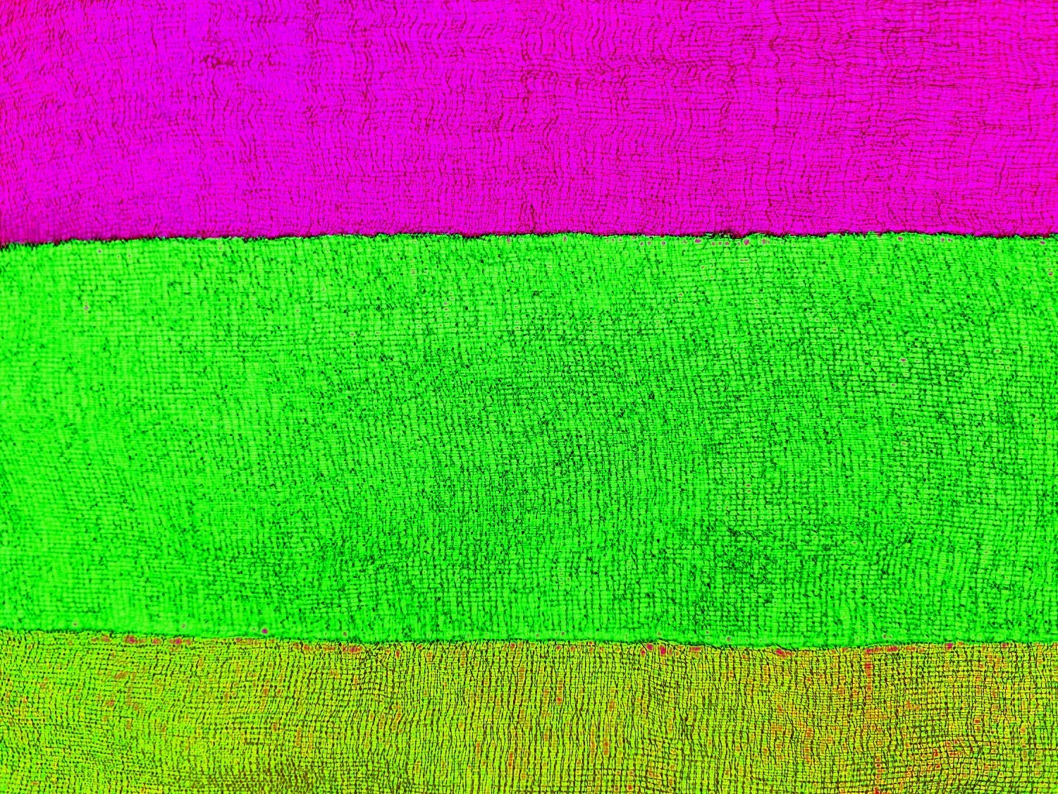 24 4I2CO I34NCI3I245 78