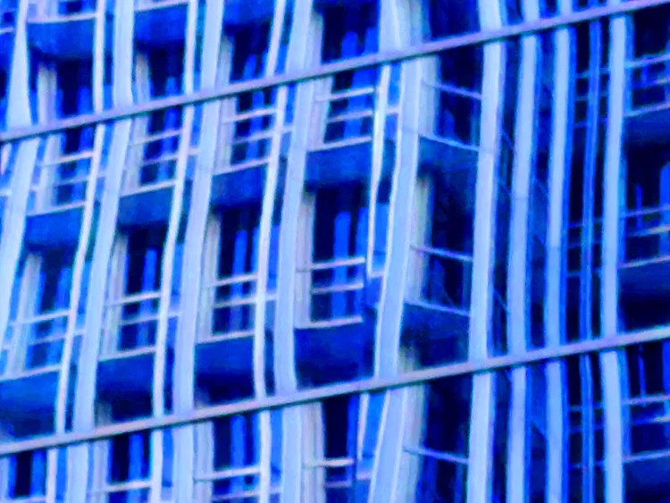 IN THE CITY 31