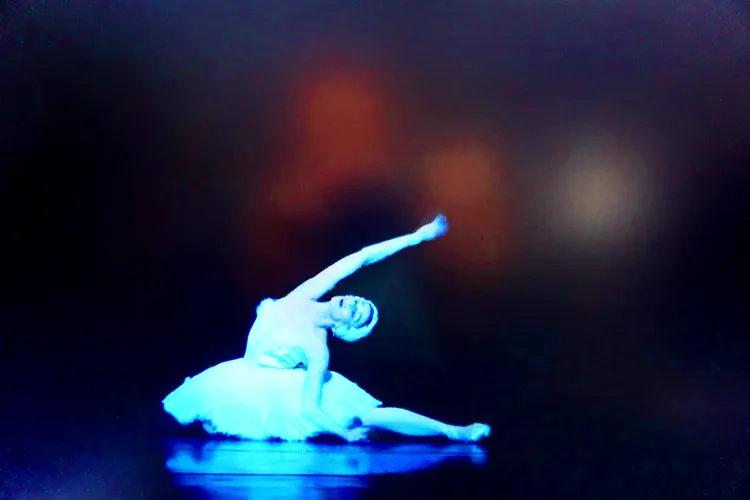 BLACK SWAN 46