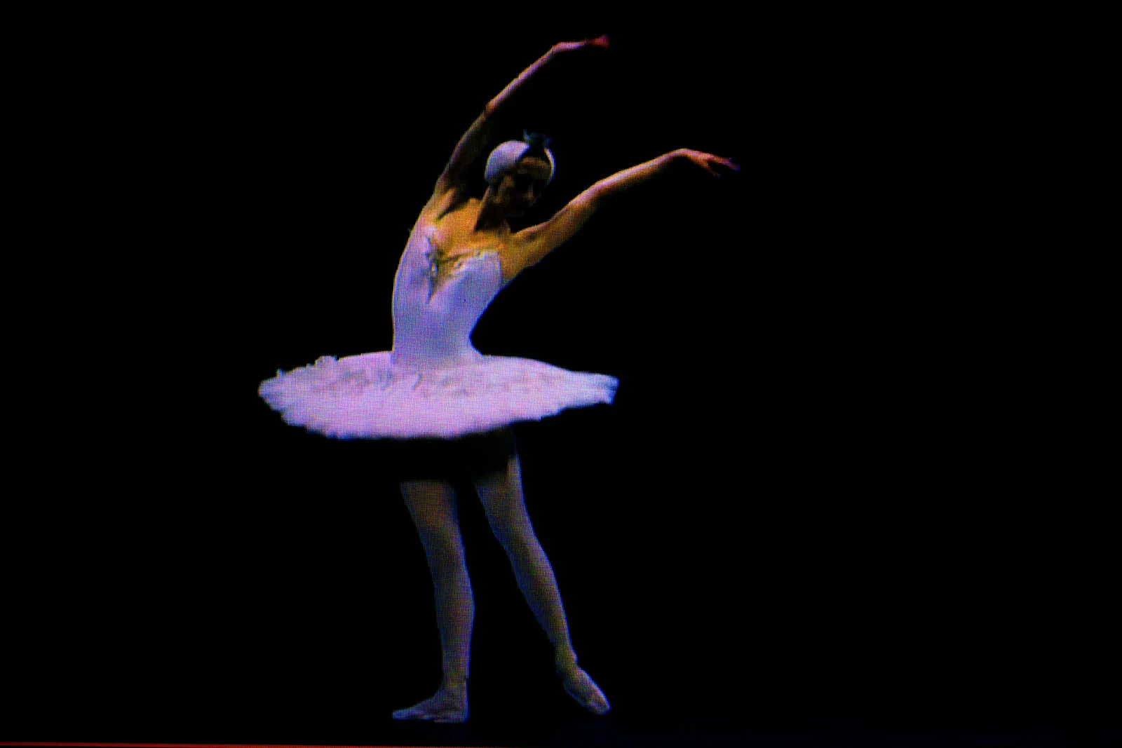 BLACK SWAN 84