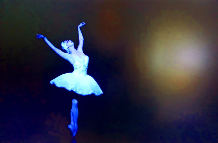 BLACK SWAN 52