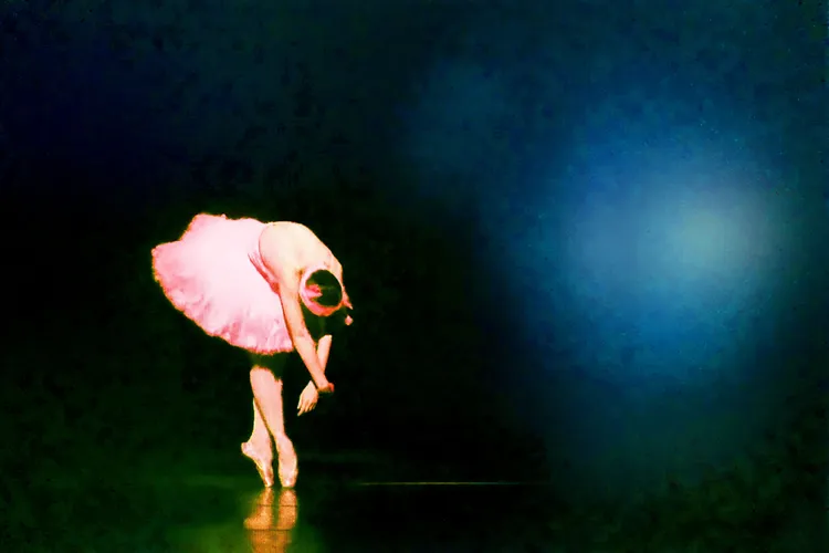 BLACK SWAN 65