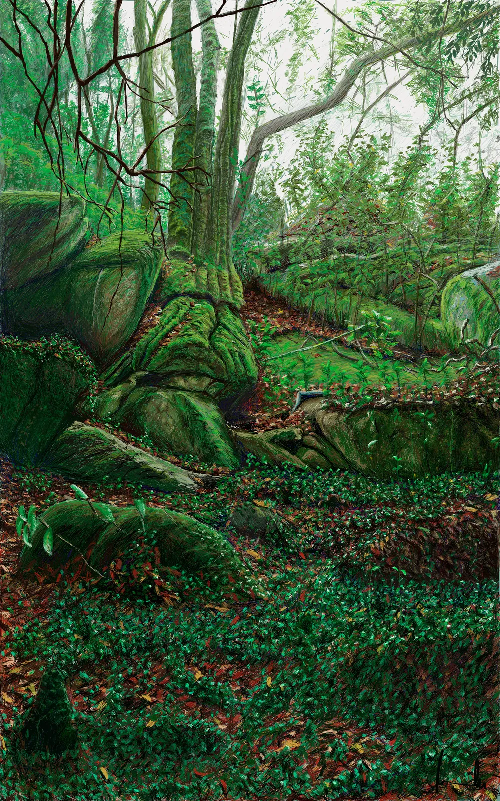 Bosque Encantado Sintra